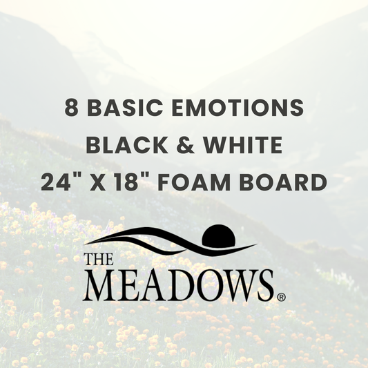 The Meadows: 8 Basic Emotions Foam Board Black & White (24 X 18)