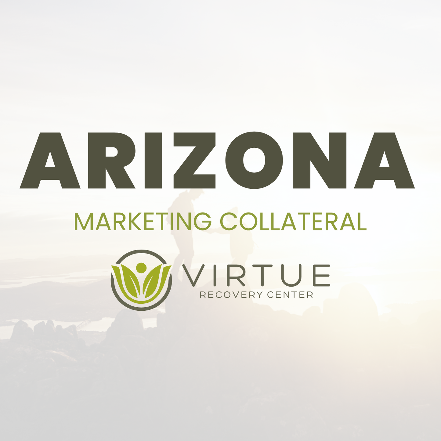 Virtue Recovery Center: Arizona Printed Flyers