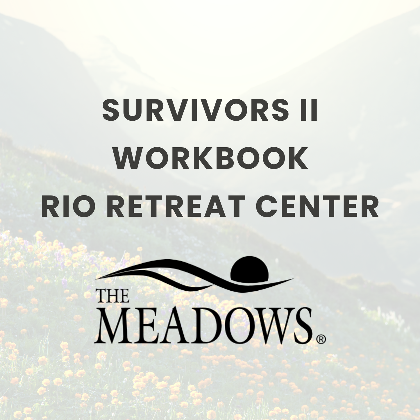The Meadows: Survivors II Workbook Rio Retreat Center